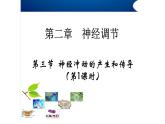 高中生物精品课件：2.3神经冲动的产生和传导（第一课时）