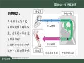 高中生物精品课件：2.3神经冲动的产生和传导（第一课时）