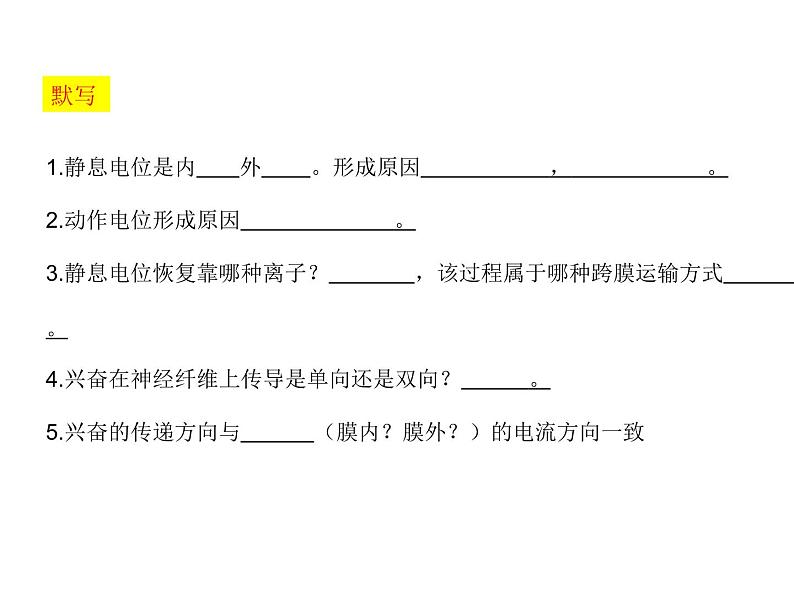 高中生物精品课件 2.3神经冲动的产生和传导（第二课时）第1页