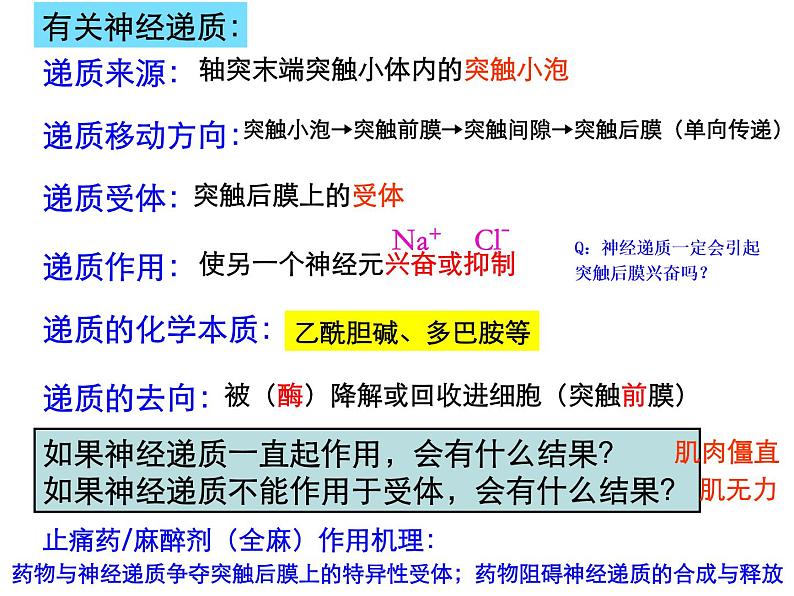 高中生物精品课件 2.3神经冲动的产生和传导（第二课时）第7页