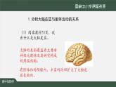 高中生物精品课件 2.4神经系统的分级调节
