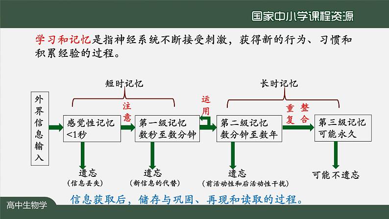 高中生物精品课件 2.5人脑的高级功能第6页