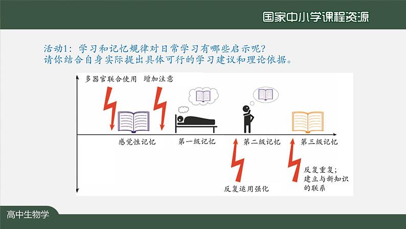 高中生物精品课件 2.5人脑的高级功能第7页