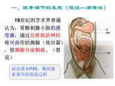 高中生物精品课件 3.1激素与内分泌系统