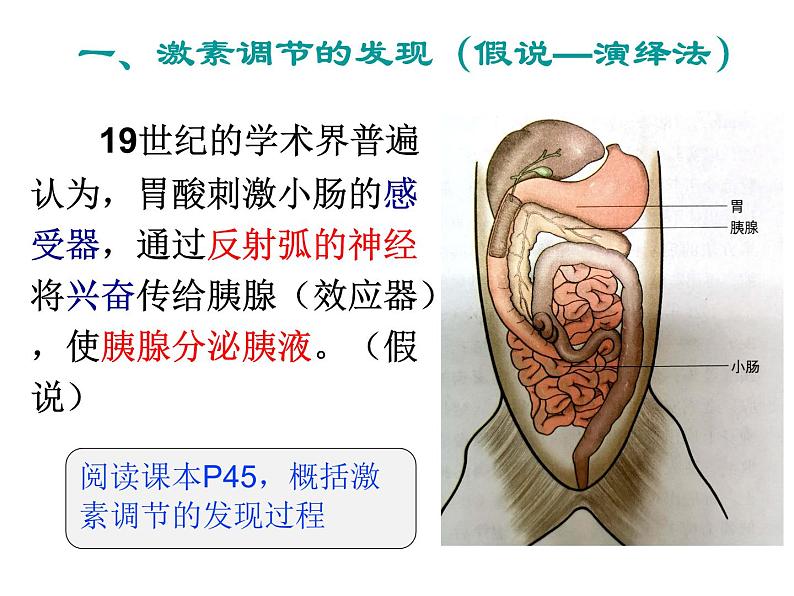 高中生物精品课件 3.1激素与内分泌系统第2页