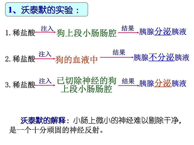 高中生物精品课件 3.1激素与内分泌系统第3页