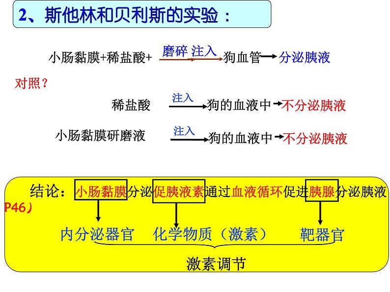 高中生物精品课件 3.1激素与内分泌系统第4页