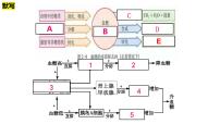 生物选择性必修1第2节 激素调节的过程说课课件ppt