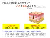 高中生物精品课件 3.3体液调节与神经调节的关系（第1课时）