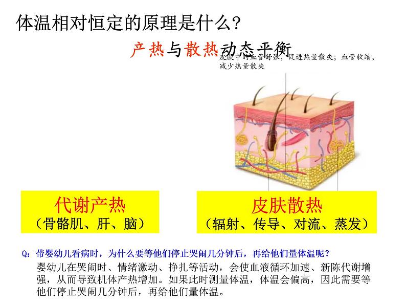 高中生物精品课件 3.3体液调节与神经调节的关系（第1课时）第4页