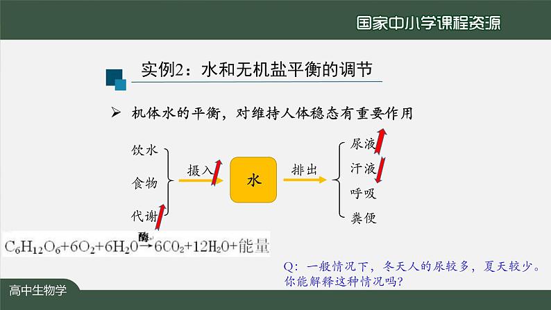 高中生物精品课件 3.3体液调节与神经调节的关系（第2课时）02