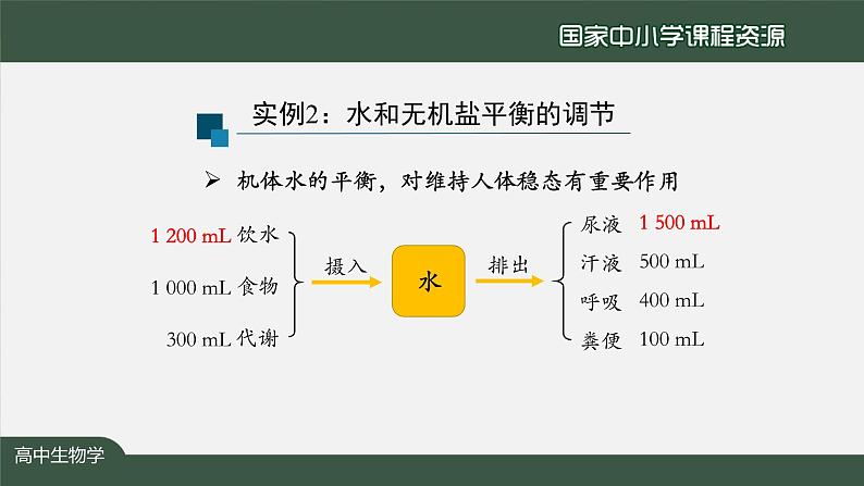 高中生物精品课件 3.3体液调节与神经调节的关系（第2课时）03