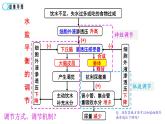 高中生物精品课件 3.3体液调节与神经调节的关系（第2课时）