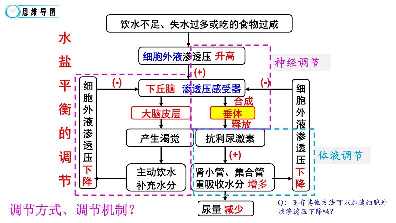 高中生物精品课件 3.3体液调节与神经调节的关系（第2课时）05