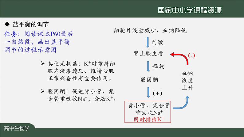 高中生物精品课件 3.3体液调节与神经调节的关系（第2课时）08