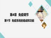 高中生物精品课件 4.1免疫系统的组成和功能