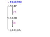 高中生物精品课件 4.1免疫系统的组成和功能