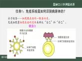 高中生物精品课件 4.2特异性免疫（第1课时）