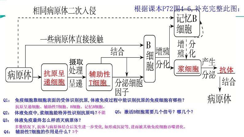 高中生物精品课件 4.2特异性免疫（第1课时）05