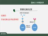 高中生物精品课件 4.3免疫失调