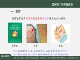 高中生物精品课件 4.4免疫学的应用