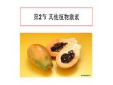 高中生物精品课件 5.2其他植物激素