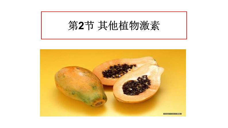 高中生物精品课件 5.2其他植物激素01