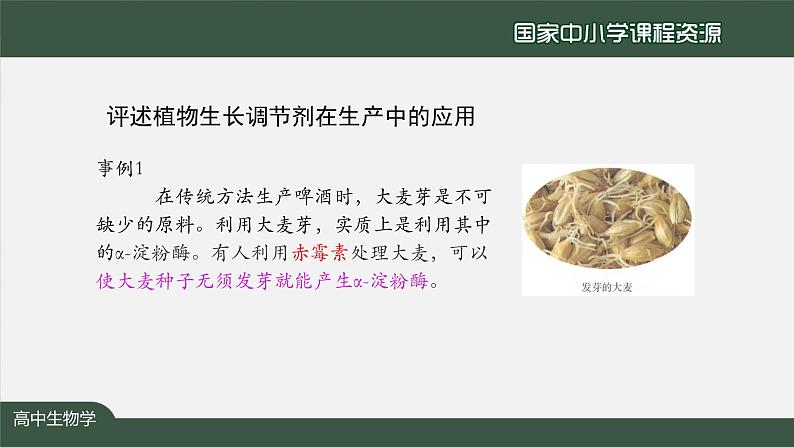 高中生物精品课件 5.3植物生长调节剂的应用第5页