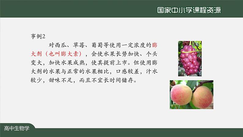 高中生物精品课件 5.3植物生长调节剂的应用第6页