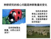 高中生物精品课件 1.1种群的数量特征