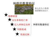 高中生物精品课件 1.1种群的数量特征