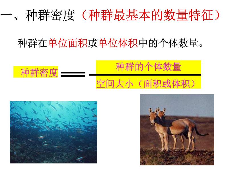 高中生物精品课件 1.1种群的数量特征第5页