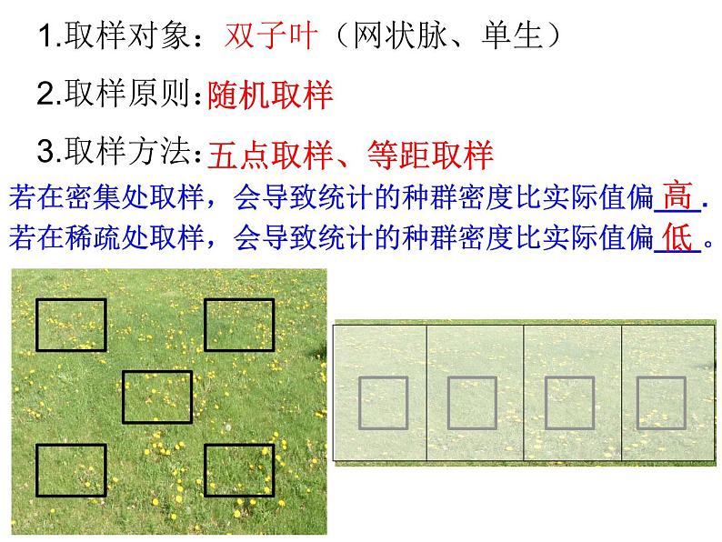 高中生物精品课件 1.1种群的数量特征第8页