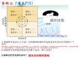 高中生物精品课件 1.3影响种群数量变化的因素