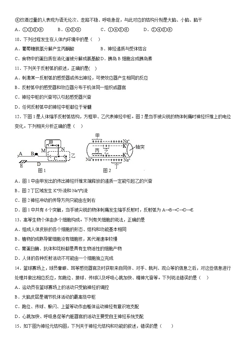 2023维吾尔自治区和田地区策勒县高二上学期11月期中考试生物试题含答案第3页