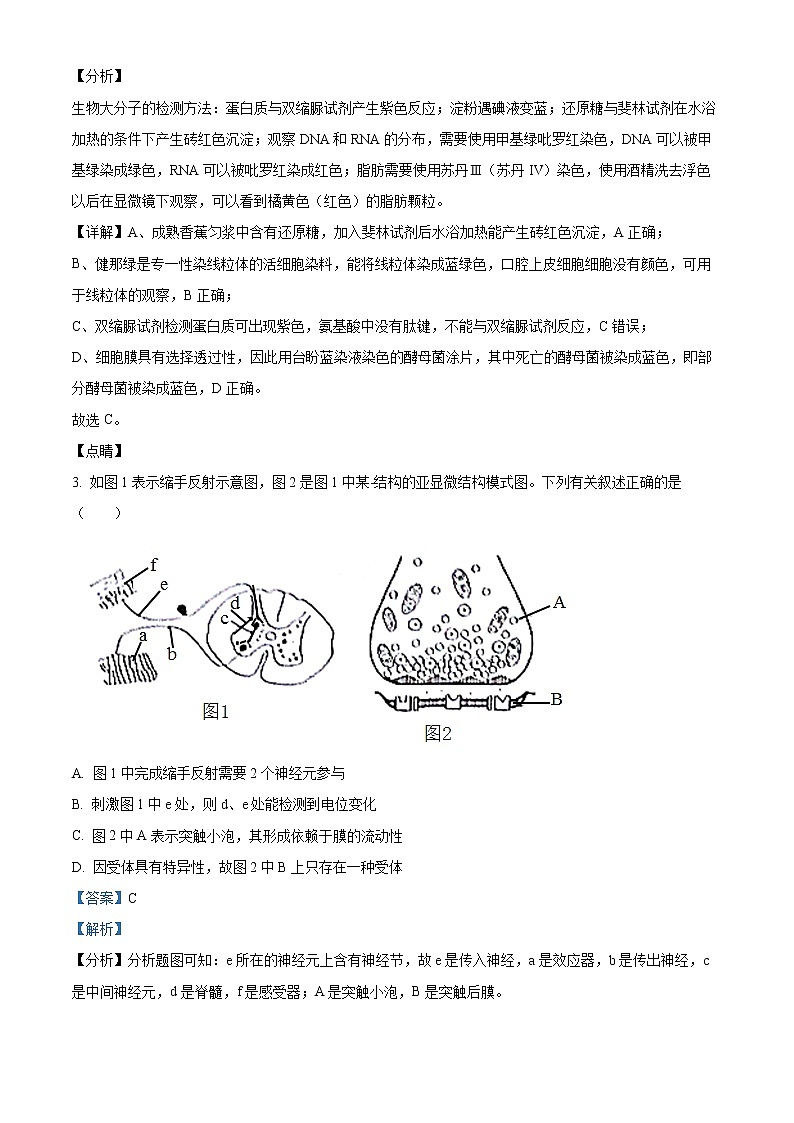 新疆孜勒苏柯尔克孜自治州第一中学2022-2023学年高二上学期11月期中生物试题含解析第2页