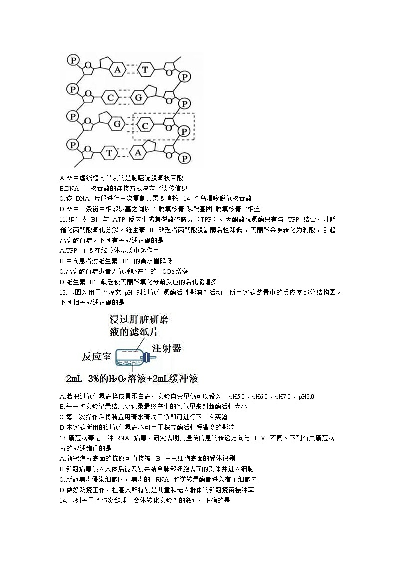 2023台州山海协作体高二上学期期中联考试题生物无答案03