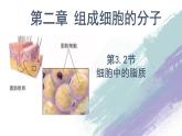 高中生物必修一 2.3 组成细胞的分子 细胞中的糖类 课件