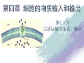 高中生物必修一 4.2 主动运输教学课件