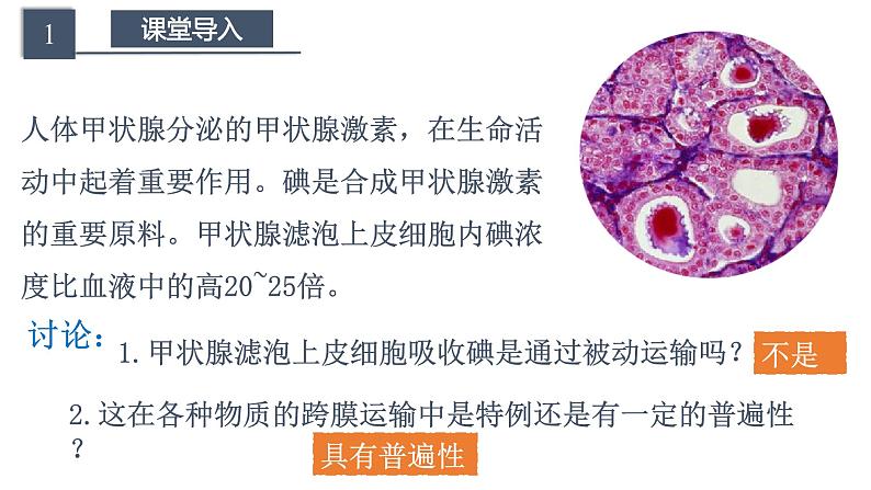 高中生物必修一 4.2 主动运输教学课件第3页