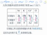 高中生物必修一 4.2 主动运输教学课件