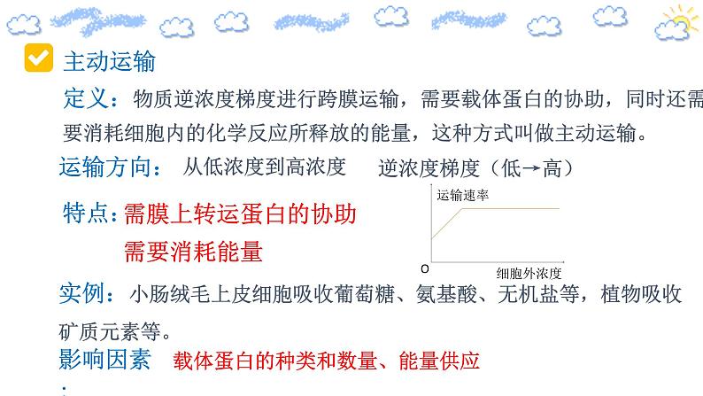 高中生物必修一 4.2 主动运输教学课件第7页