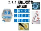 2.3.2 胚胎工程（技术及应用）-2021-2022学年人教版（2019）高中生物选择性必修3 课件