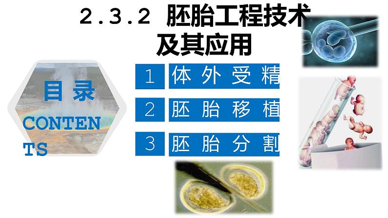 2.3.2 胚胎工程（技术及应用）-2021-2022学年人教版（2019）高中生物选择性必修3 课件02