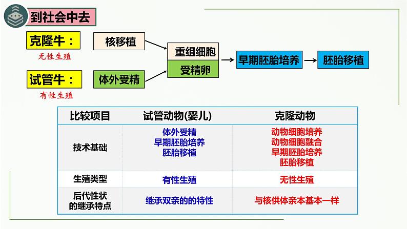 2.3.2 胚胎工程（技术及应用）-2021-2022学年人教版（2019）高中生物选择性必修3 课件06