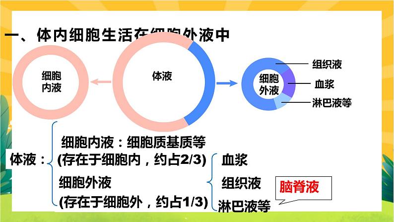 1.1细胞生活的环境（课件PPT）04