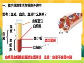 1.1细胞生活的环境（课件PPT）