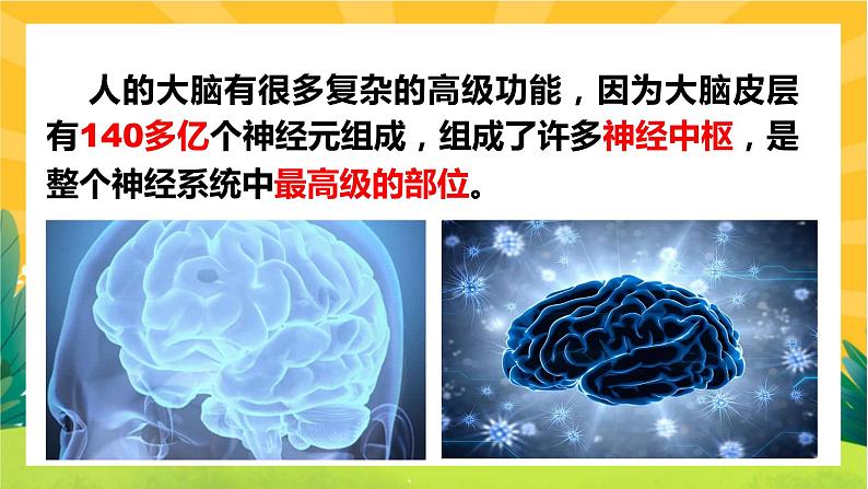 2.5人脑的高级功能（课件PPT）03