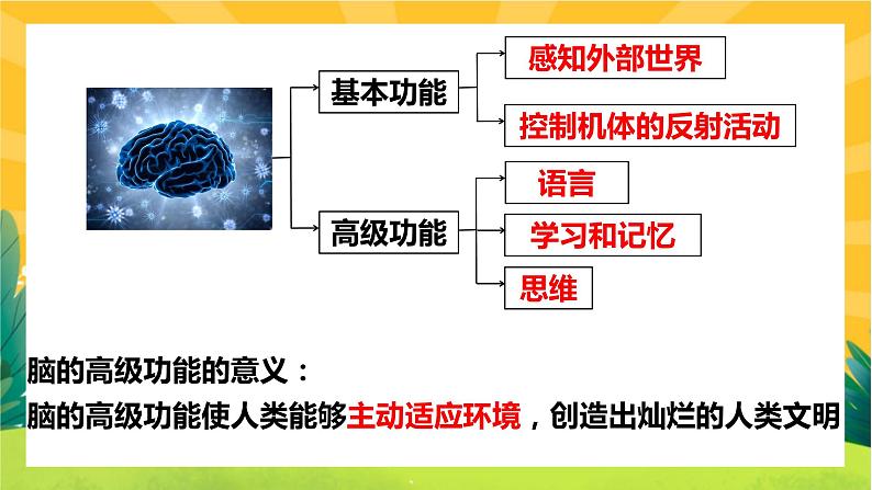 2.5人脑的高级功能（课件PPT）04