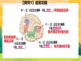 2.5人脑的高级功能（课件PPT）